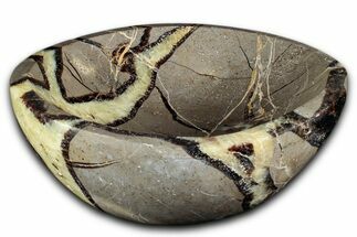 Unique Polished Septarian Dish - Madagascar #350232