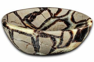 Eye-Eatching, Polished Septarian Bowl - Madagascar #350234