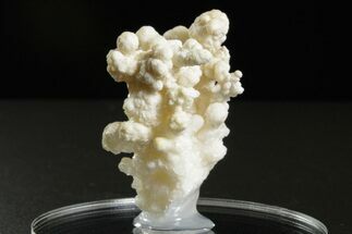 Intricate, Fluorescent Aragonite Formation - Nevada #350267