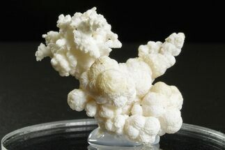 Intricate, Fluorescent Aragonite Formation - Nevada #350268