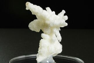 Intricate, Fluorescent Aragonite Formation - Nevada #350272