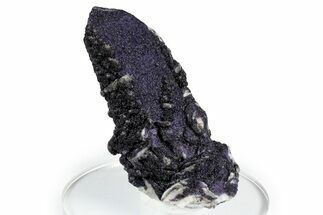 Purple Fluorite Encrusted Quartz Crystal - New Find! #350652