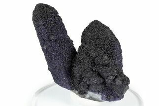 Dark Purple Fluorite Encrusted Quartz Crystals - New Find! #350662