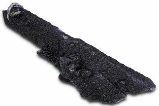 Dark Purple Fluorite Encrusted Quartz Crystals - New Find! #350684