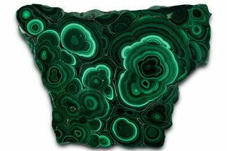 Flowery Polished Malachite Slab - DR Congo #350839