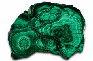Flowery Polished Malachite Slab - DR Congo #350841