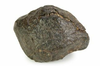 OC Chondrite Meteorite ( g) - NWA #350997