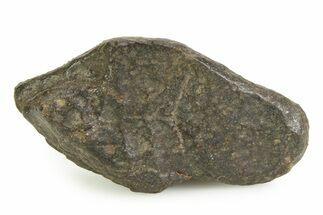 OC Melt Breccia Chondrite Meteorite ( g) - NWA #351001