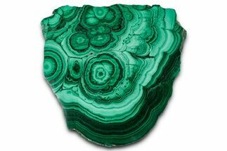 Flowery Polished Malachite Slab - DR Congo #350829