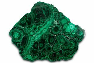 Flowery Polished Malachite Slab - DR Congo #350831