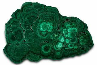 Flowery Polished Malachite Slab - DR Congo #350837
