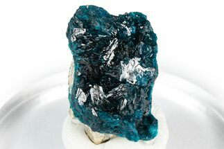 Vibrant Blue Veszelyite Crystal Cluster - Congo #351585