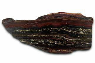 Polished Tiger Iron Stromatolite Slab - Billion Years #351805