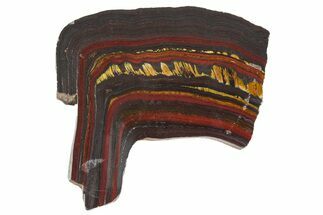 Polished Tiger Iron Stromatolite Slab - Billion Years #351818