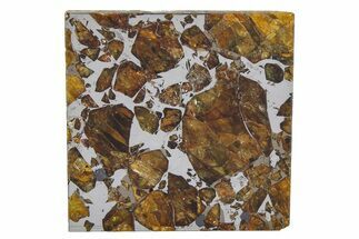 Brahin Pallasite Meteorite ( g) Slice - Belarus #351931