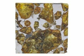 Brahin Pallasite Meteorite ( g) Slice - Belarus #351932