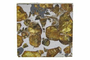 Brahin Pallasites For Sale