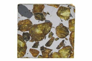 Brahin Pallasite Meteorite ( g) Slice - Belarus #351942