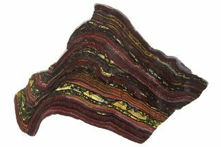 Polished Tiger Iron Stromatolite Slab - Billion Years #351881
