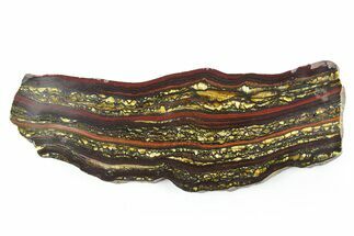 Polished Tiger Iron Stromatolite Slab - Billion Years #351890
