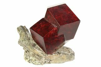 Twinned Maroon Almandine Garnets in Schist - Italy #352076
