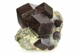 Polished Almandine Garnets in Schist - Tyrol, Austria #352078