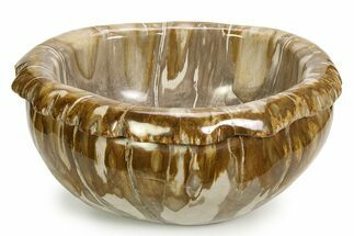 Petrified Wood (Tropical Hardwood) Bowl - Indonesia #352010