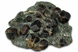 Red Almandine Garnets in Schist - Tyrol, Austria #352081
