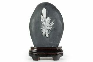 Buy Chrysanthemum Stone