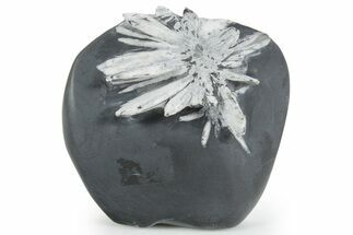 Polished Free-Standing Chrysanthemum Stone - China #352122
