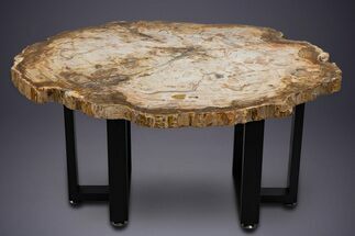 Polished Triassic Petrified Wood Table - Madagascar #352271