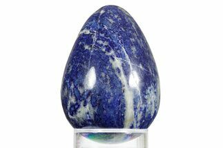 Polished Lapis Lazuli Egg - Pakistan #352495