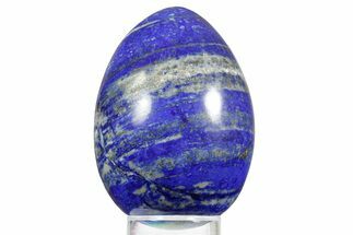 Polished Lapis Lazuli Egg - Pakistan #352509
