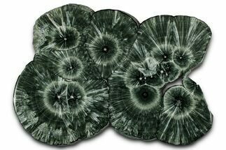 Stunning, Polished Seraphinite Slab - Korshunovkiy Mine, Siberia #352661