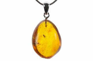 Polished Baltic Amber Pendant (Necklace) - Contains Flies! #352959
