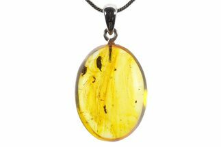 Polished Baltic Amber Pendant (Necklace) - Contains Beetle! #352960