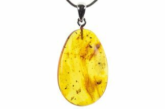 Polished Baltic Amber Pendant (Necklace) - Contains Fly & Mite! #352961