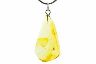 Polished Baltic Amber Pendant (Necklace) - Contains Fly! #352966