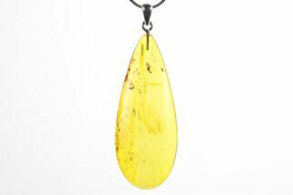 Polished Baltic Amber Pendant (Necklace) - Contains Fly! #353136