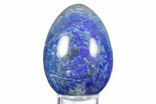 Polished Lapis Lazuli Egg - Pakistan #352522