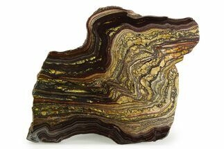 Polished Tiger Iron Stromatolite Slab - Billion Years #351905