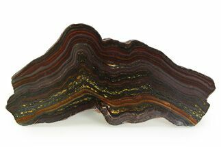 Polished Tiger Iron Stromatolite Slab - Billion Years #351909
