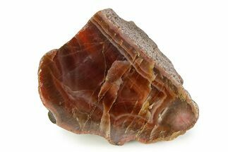 Polished Pilbara Agate Section - Oldest Known Agate #353182