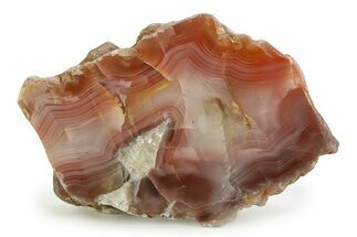 Polished Pilbara Agate Section - Oldest Known Agate #353183