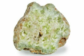 Wide Polished Prehnite Section - Australia #353728