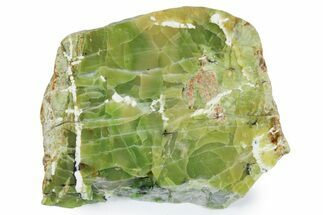 Polished Green-White Opal Slab - Western Australia #353738