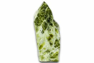 Free-Standing Polished Noble Serpentine - Washington #353777