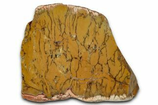 Polished Yellow Dendritic Opal Slab - Western Australia #353798