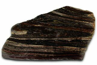 Polished Tiger Iron Stromatolite Section - Billion Years #353254