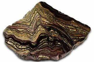 Polished Tiger Iron Stromatolite Section - Billion Years #353263